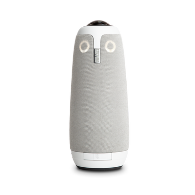 Meeting Owl 3