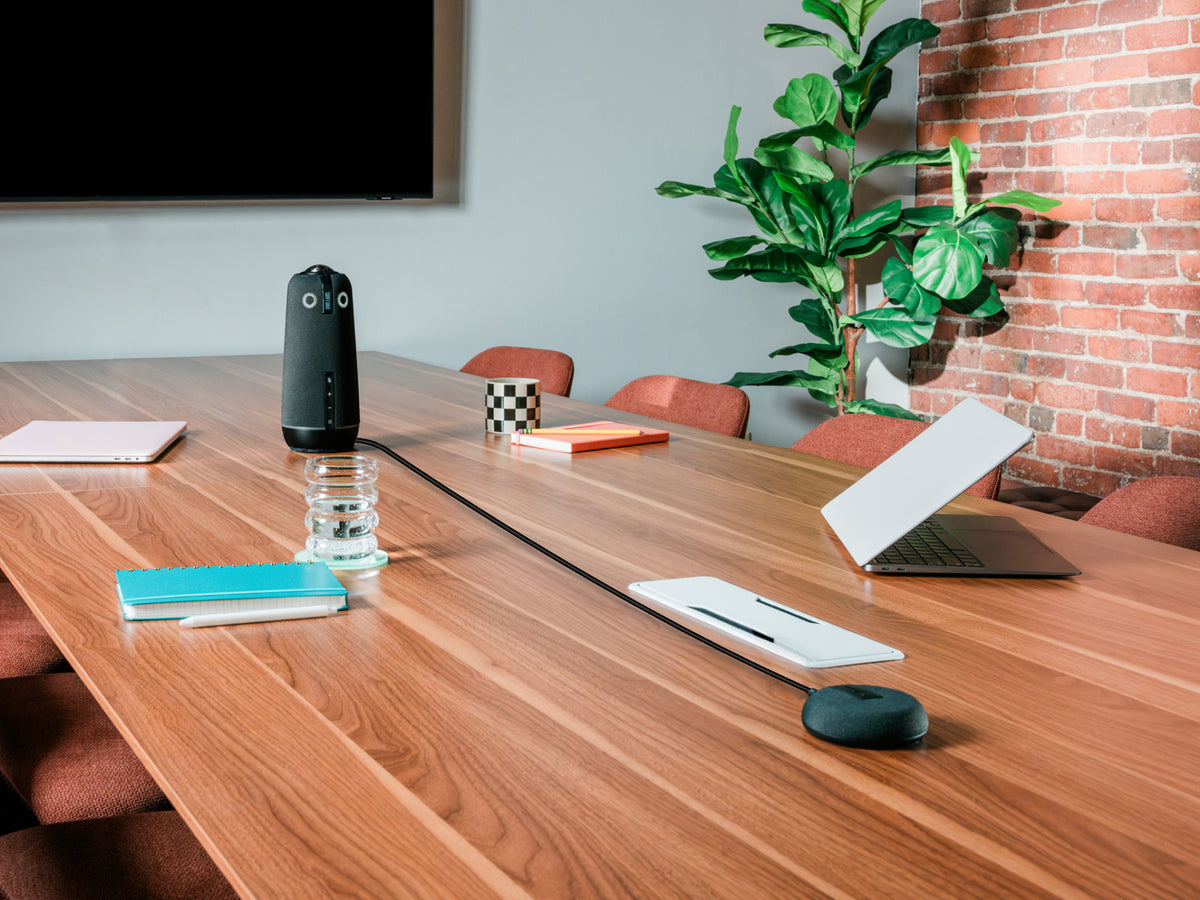 Owl Labs Expansion Mic