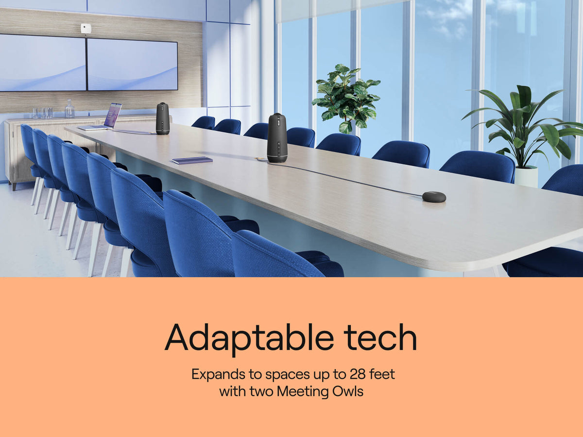 Meeting Owl 4+